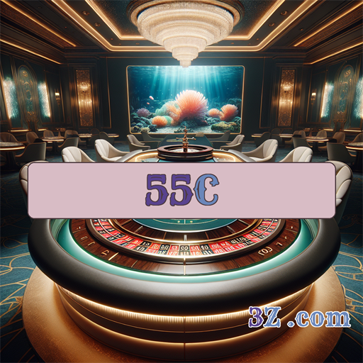 55C.com